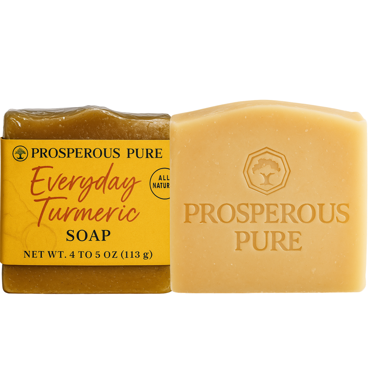 Every Day Turmeric Fragrance Free Soap